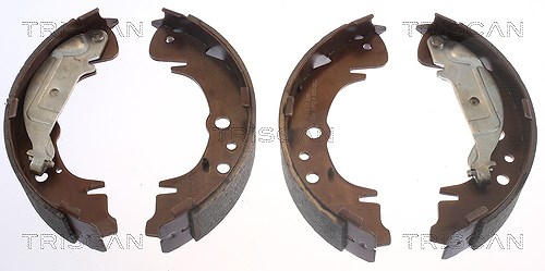 Triscan Bremsbackensatz [Hersteller-Nr. 810010019] für Hyundai