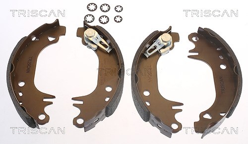 Triscan Bremsbackensatz [Hersteller-Nr. 810010006] für Citroën, Peugeot, Dallas, Mega