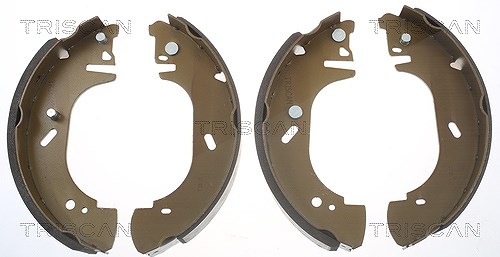 Triscan Bremsbackensatz [Hersteller-Nr. 810016571] für Vauxhall, Ford, Renault