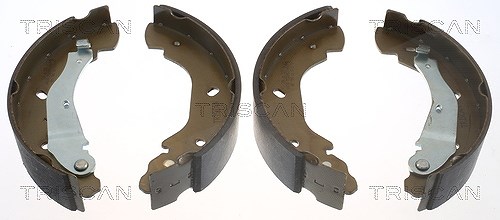 Triscan Bremsbackensatz [Hersteller-Nr. 810016007] für Ford