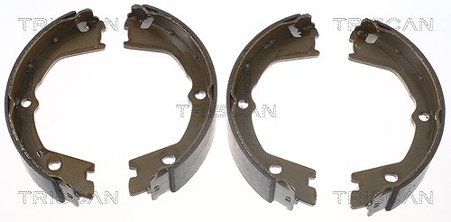 Triscan Bremsbackensatz, Feststellbremse [Hersteller-Nr. 810015019] für Iveco