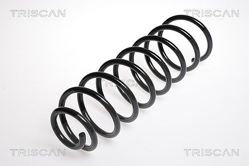 Triscan Fahrwerksfeder [Hersteller-Nr. 87506519] für Saab