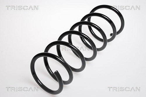 Triscan Fahrwerksfeder [Hersteller-Nr. 87506514] für Saab