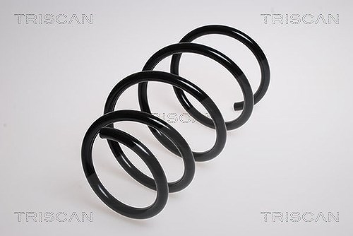 Triscan Fahrwerksfeder [Hersteller-Nr. 87501189] für BMW