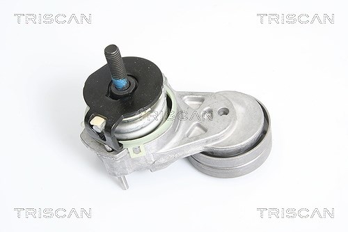 Triscan Spannarm, Keilrippenriemen [Hersteller-Nr. 8641103020] für Vauxhall, Alfa Romeo, Opel, Chevrolet, Fiat, Saab