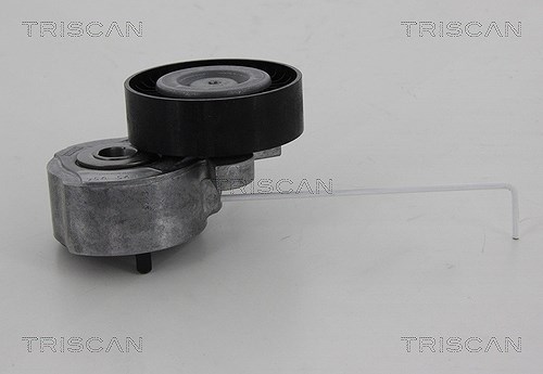 Triscan Spannrolle, Keilrippenriemen [Hersteller-Nr. 8641103037] für Land Rover, Volvo