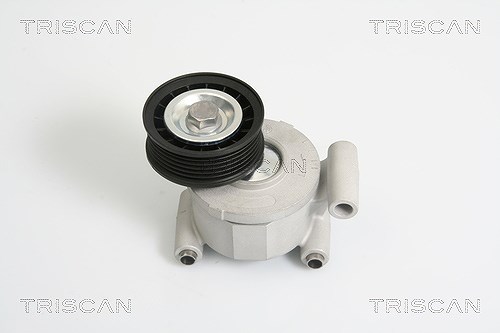 Triscan Spannarm, Keilrippenriemen [Hersteller-Nr. 8641103022] für Ford, Volvo