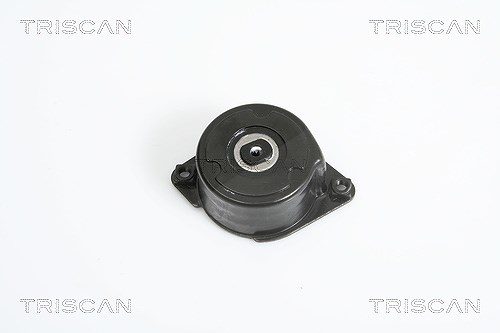 Triscan Riemenspanner, Keilrippenriemen [Hersteller-Nr. 8641103021] für BMW, Land Rover