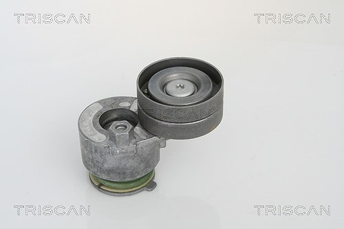 Triscan Spannarm, Keilrippenriemen [Hersteller-Nr. 8641103018] für Opel, Mitsubishi, Vauxhall, Volvo, Nissan, Renault
