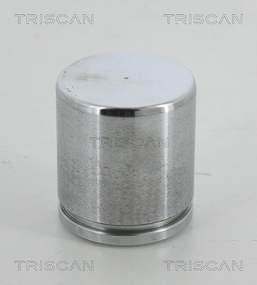 Triscan Kolben, Bremssattel [Hersteller-Nr. 8170234613] für Porsche, VW, Land Rover, Mercedes-Benz