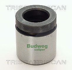 Triscan Kolben, Bremssattel [Hersteller-Nr. 8170234219] für Volvo, BMW
