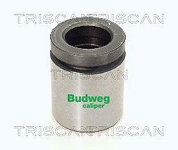 Triscan Kolben, Bremssattel [Hersteller-Nr. 8170234221] für BMW, Land Rover