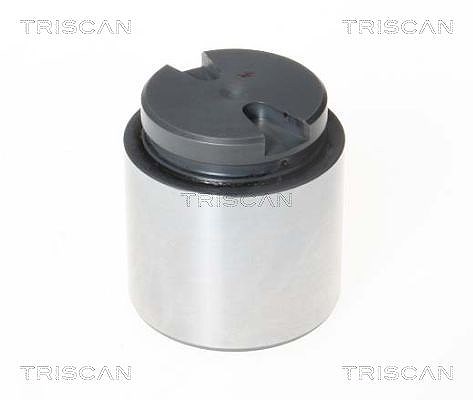 Triscan Kolben, Bremssattel [Hersteller-Nr. 8170234867] für Ford, VW, Man