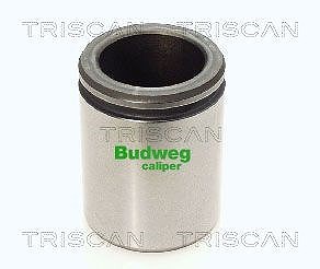 Triscan Kolben, Bremssattel [Hersteller-Nr. 8170234415] für Peugeot, Citroën, Fiat