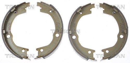 Triscan Bremsbackensatz, Feststellbremse [Hersteller-Nr. 810018006] für Hyundai, Kia