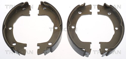 Triscan Bremsbackensatz, Feststellbremse [Hersteller-Nr. 810015025] für Iveco