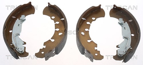 Triscan Bremsbackensatz [Hersteller-Nr. 810015023] für Fiat, Lancia