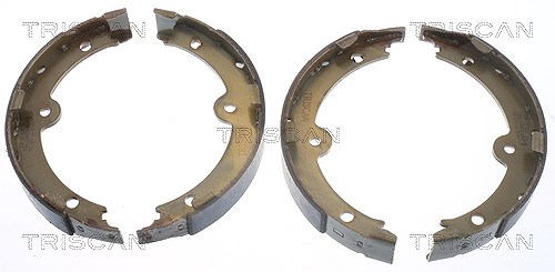 Triscan Bremsbackensatz, Feststellbremse [Hersteller-Nr. 810013045] für Lexus