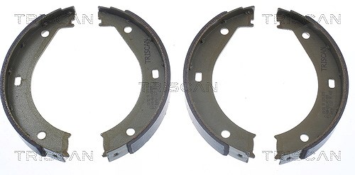 Triscan Bremsbackensatz, Feststellbremse [Hersteller-Nr. 810011415] für BMW