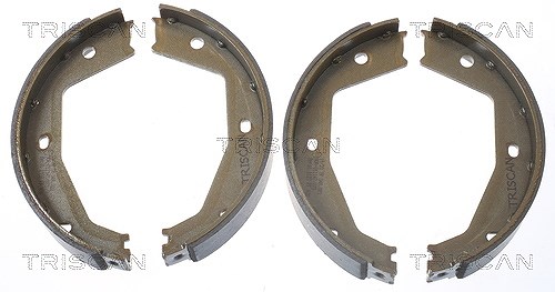 Triscan Bremsbackensatz, Feststellbremse [Hersteller-Nr. 810010034] für Daimler, Jaguar