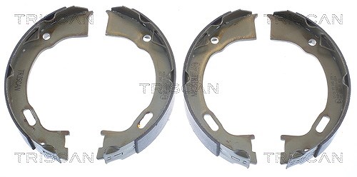 Triscan Bremsbackensatz, Feststellbremse [Hersteller-Nr. 810080006] für Ford Usa