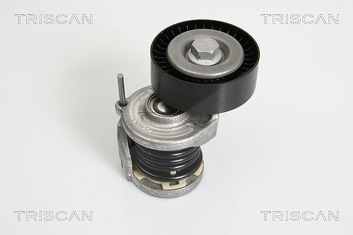 Triscan Spannarm, Keilrippenriemen [Hersteller-Nr. 8641293021] für Seat, Audi, Skoda, VW