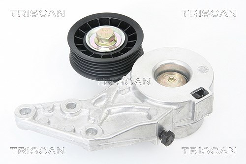 Triscan Spannrolle, Keilrippenriemen [Hersteller-Nr. 8641293013] für Seat, Audi, Ford, VW