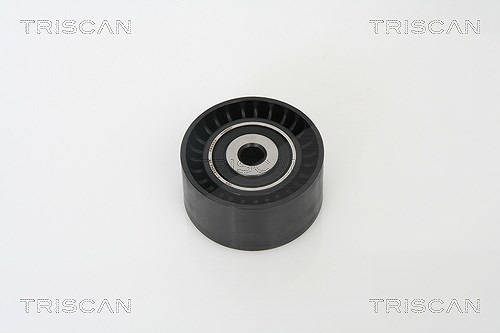 Triscan Umlenk-/Führungsrolle, Keilrippenriemen [Hersteller-Nr. 864610222] für Suzuki, Citroën, Tata, Fiat, Peugeot, Volvo, Mini, Ford, Toyota