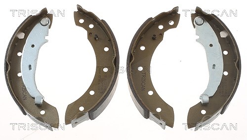 Triscan Bremsbackensatz [Hersteller-Nr. 810010572] für Volvo, Dacia, Peugeot, Renault, Citroën