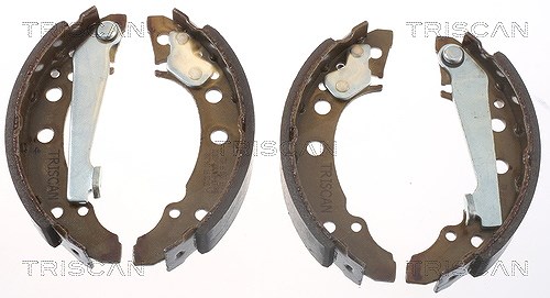 Triscan Bremsbackensatz Hinten [Hersteller-Nr. 810010340] für Audi, VW, Seat