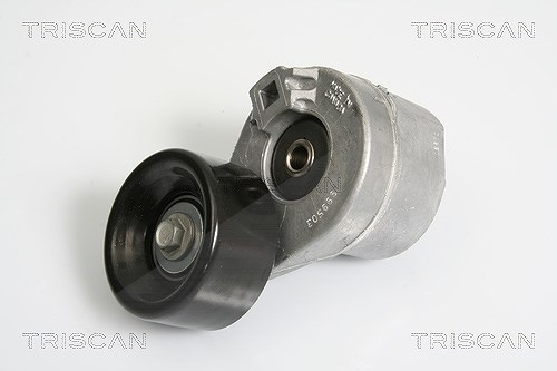 Triscan Riemenspanner, Keilrippenriemen [Hersteller-Nr. 8641163012] für Ford