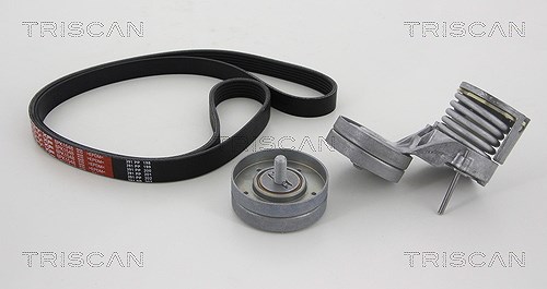 Triscan Keilrippenriemensatz [Hersteller-Nr. 864229009] für Seat, Skoda, VW