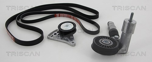 Triscan Keilrippenriemensatz [Hersteller-Nr. 864229008] für Audi, Skoda, VW
