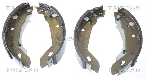 Triscan Bremsbackensatz [Hersteller-Nr. 810010389] für Peugeot, Renault