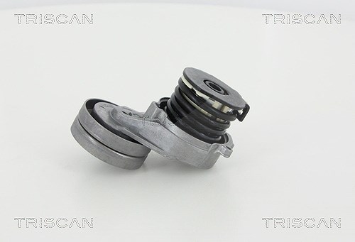 Triscan Spannarm, Keilrippenriemen [Hersteller-Nr. 8641243011] für Opel, Honda, Vauxhall