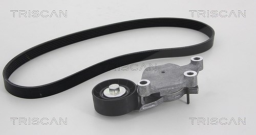Triscan Keilrippenriemensatz [Hersteller-Nr. 864210002] für Suzuki, Mazda, Volvo, Ford, Citroën, Peugeot
