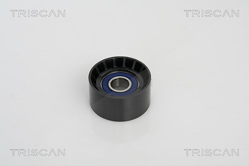 Triscan Umlenk-/Führungsrolle, Keilrippenriemen [Hersteller-Nr. 8641102024] für Mitsubishi, Nissan, Renault, Vauxhall, Opel