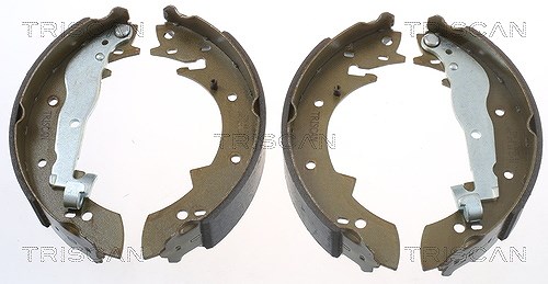 Triscan Bremsbackensatz [Hersteller-Nr. 810010307] für Alfa Romeo, Suzuki, Volvo, Dacia, Talbot, Renault, Peugeot, BMW