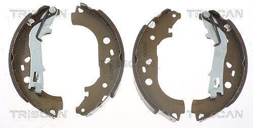 Triscan Bremsbackensatz [Hersteller-Nr. 810010028] für Citroën, Peugeot, Fiat