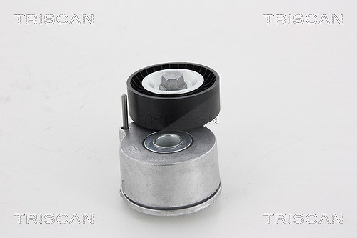 Triscan Spannarm, Keilrippenriemen [Hersteller-Nr. 8641103003] für Peugeot, Lancia, Citroën, Fiat