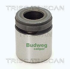 Triscan Kolben, Bremssattel [Hersteller-Nr. 8170234034] für BMW, Mg, Saab, Rover