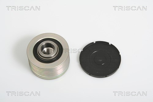 Triscan Generatorfreilauf [Hersteller-Nr. 8641104004] für Suzuki, Citroën, Fiat, Peugeot, Ford, Mazda, Lancia