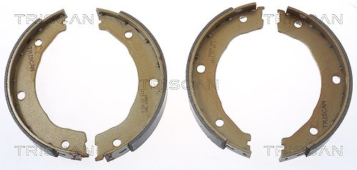 Triscan Bremsbackensatz, Feststellbremse [Hersteller-Nr. 810010030] für Kia, Ford
