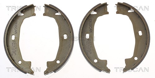 Triscan Bremsbackensatz, Feststellbremse [Hersteller-Nr. 810011011] für BMW