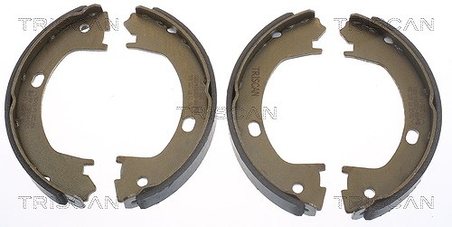 Triscan Bremsbackensatz Feststellbremse Hinterachse [Hersteller-Nr. 810080003] für Chrysler, Dodge