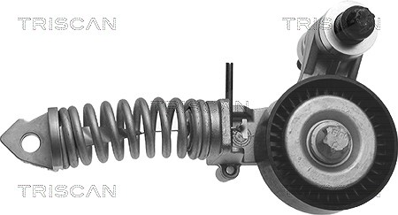 Triscan Spannarm, Keilrippenriemen [Hersteller-Nr. 8641241003] für Suzuki, Opel, Vauxhall, Chevrolet