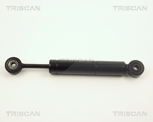 Triscan Schwingungsdämpfer, Keilrippenriemen [Hersteller-Nr. 87102314] für Mercedes-Benz