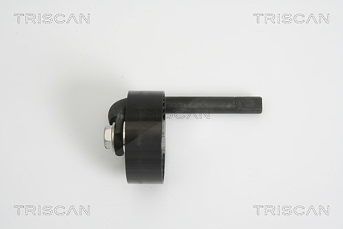 Triscan Spannrolle, Keilrippenriemen [Hersteller-Nr. 8641111012] für BMW