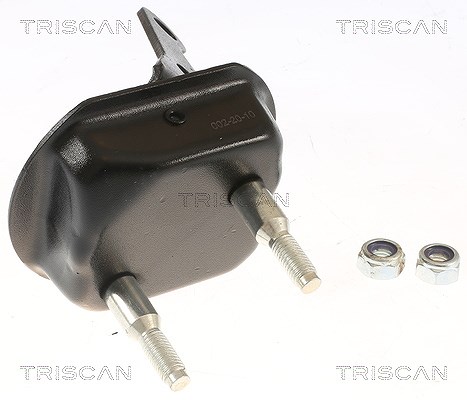 Triscan Lagerbock, Achskörper [Hersteller-Nr. 850028534] für Citroën, Peugeot