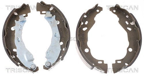 Triscan Bremsbackensatz [Hersteller-Nr. 810010009] für Peugeot, Lancia, Citroën